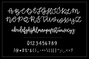 Zabar, a Script Font by Artstudio (Thumbnail 7 of 7)