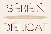 CS Austria – Elegant Font, a Sans Serif Font by Craft Supply Co. (Thumbnail 5 of 8)