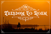 The Western Gold, a Serif Font by Burntilldead (Thumbnail 6 of 11)