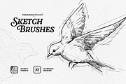 Sketch Brushes for Affinity, a Brush Add-On by pixelbuddha.net (Thumbnail 1 of 5)