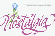 Mendyora Bold Calligraphy Font, a Script Font by Letterena Studios Script (Thumbnail 11 of 15)