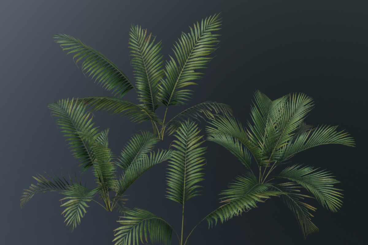 A small palm bush, a Plants & Tree 3D Model by FuturePastCreatives (Photo 1 of 5)