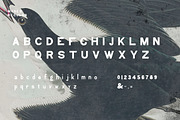 Moses - Display Grotesque Typeface, a Slab Serif Font by Nomad Visuals (Thumbnail 5 of 8)