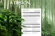 Physician Resume Template, CV, a Resume Template by Career Canvas (Thumbnail 2 of 11)