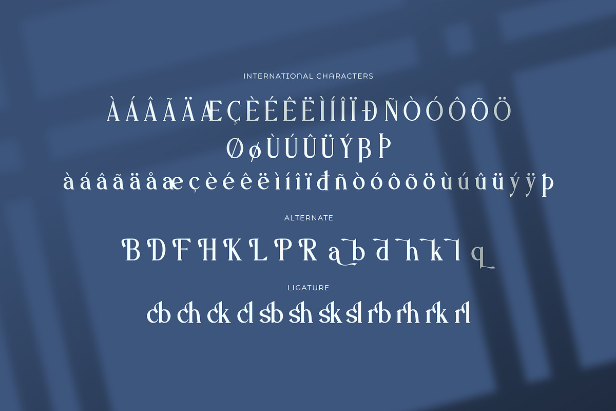 Haskovilla -  Serif Typeface Font, a Serif Font by Rishsketch (Photo 13 of 14)