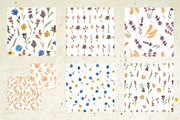 Wildflower bouquet, a Decorative Illustration by MayaNavits (Thumbnail 9 of 14)