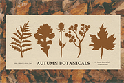 Autumn Botanicals Clipart, a Seasonal Illustration by RaDavCrafts (Thumbnail 1 of 12)