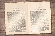 Old Book Paper (Double Page Spreads), a Texture Illustration by Secret Helper (Thumbnail 6 of 7)