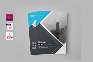 Company Profile