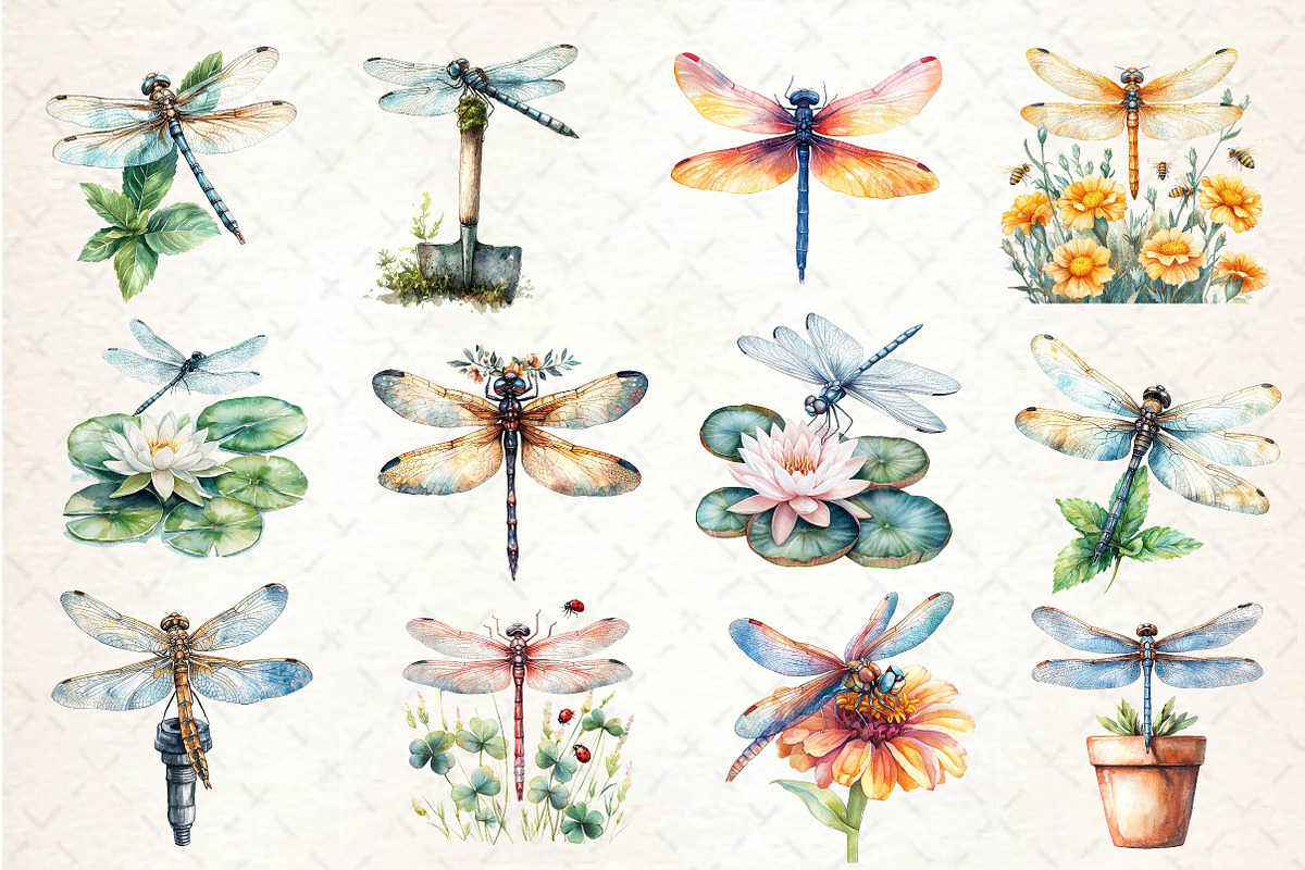 Summer Dragonfly Garden Clipart, an Illustration by Dream Creation (Photo 3 of 4)