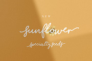 Cheerful Elf Script Font, a Script Font by Creativeqube Design (Thumbnail 3 of 5)