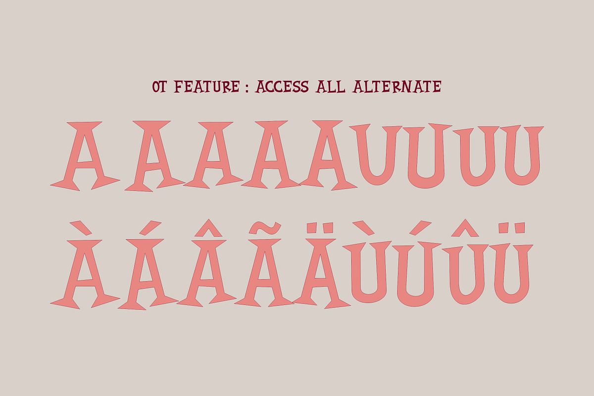 REINHARDT Font, a Serif Font by Brainware Graphic (Photo 2 of 5)