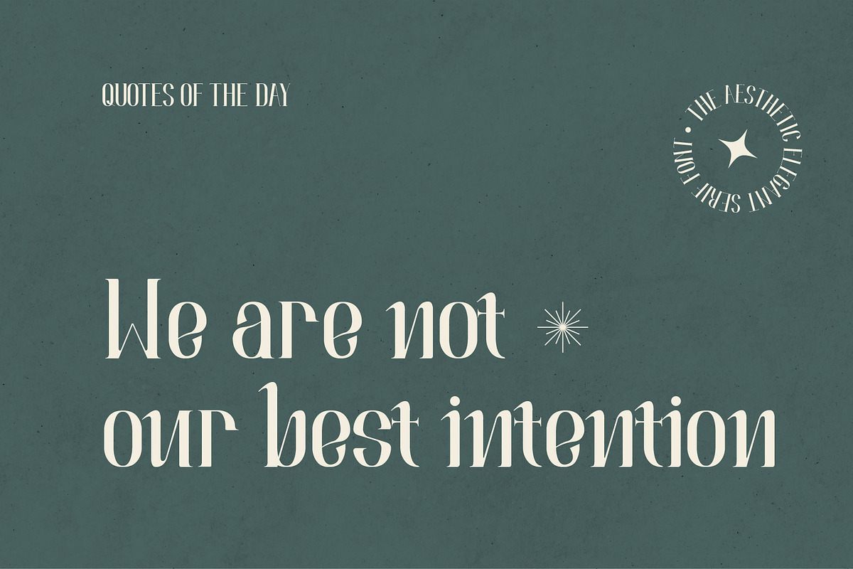 Ramone Aesthetic Serif Font, a Serif Font by Neermana (Photo 4 of 5)