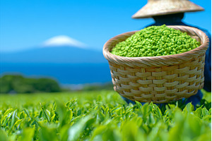 Ecotourism in Asia is depicted, a Person Photo by ZinetroN