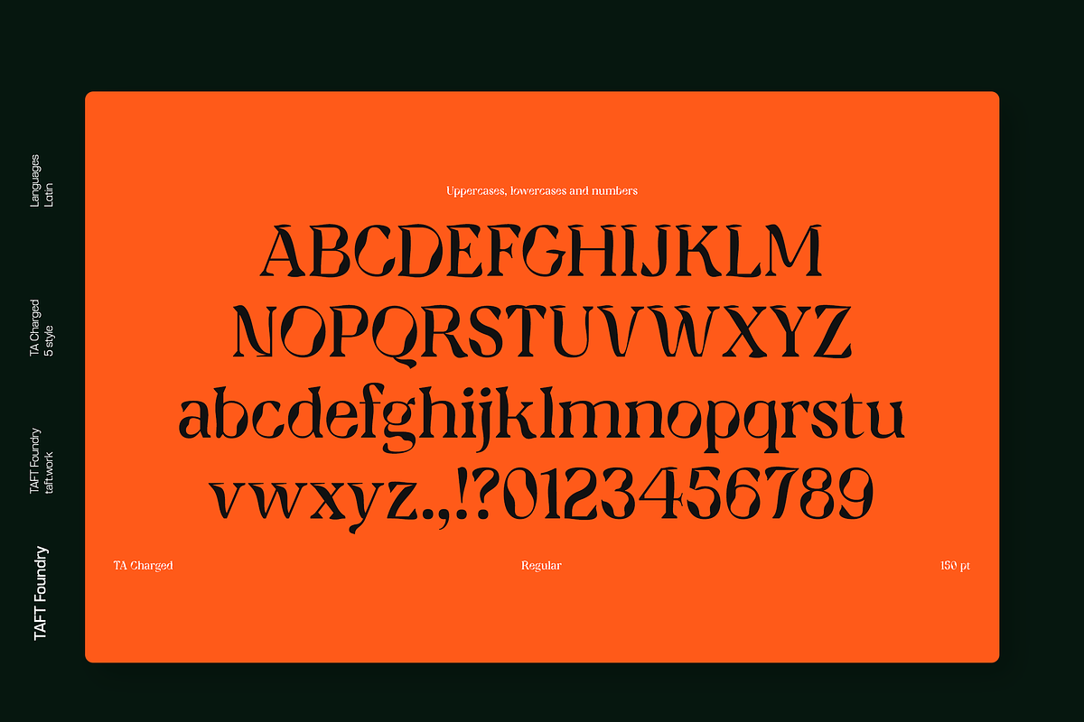 TA Charged, a Serif Font by TAFT Foundry (Photo 8 of 19)