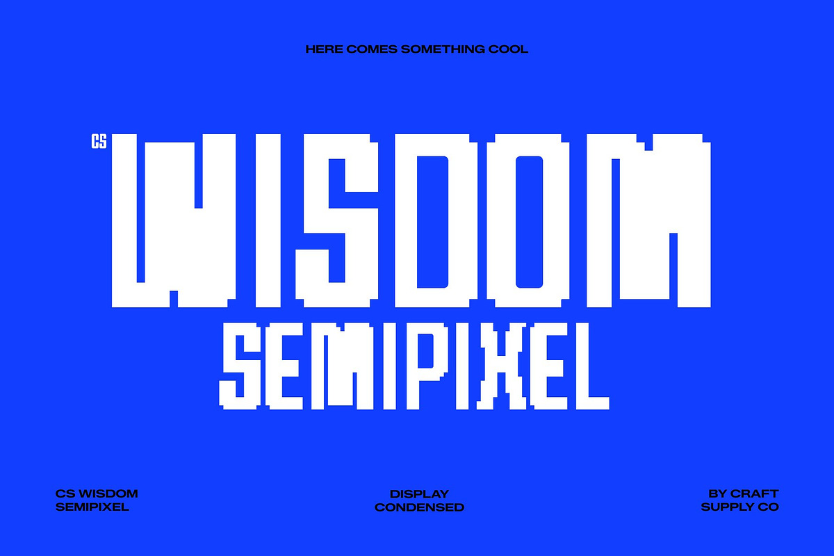 CS Wisdom Semipixel, a Sans Serif Font by Craft Supply Co. (Photo 1 of 8)