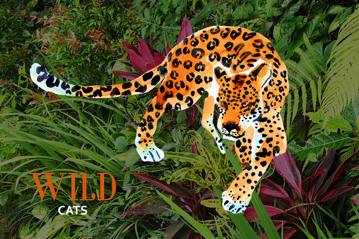 Watercolor WILD cats, an Animal Illustration by Anastasia (Photo 2 of 13)