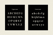 Lostangen - Elegant Classy Font, a Serif Font by RockboyStd (Thumbnail 9 of 12)