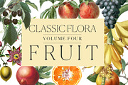 Botanical Master Collection, a Food Illustration by BlackBird Foundry (Thumbnail 5 of 10)