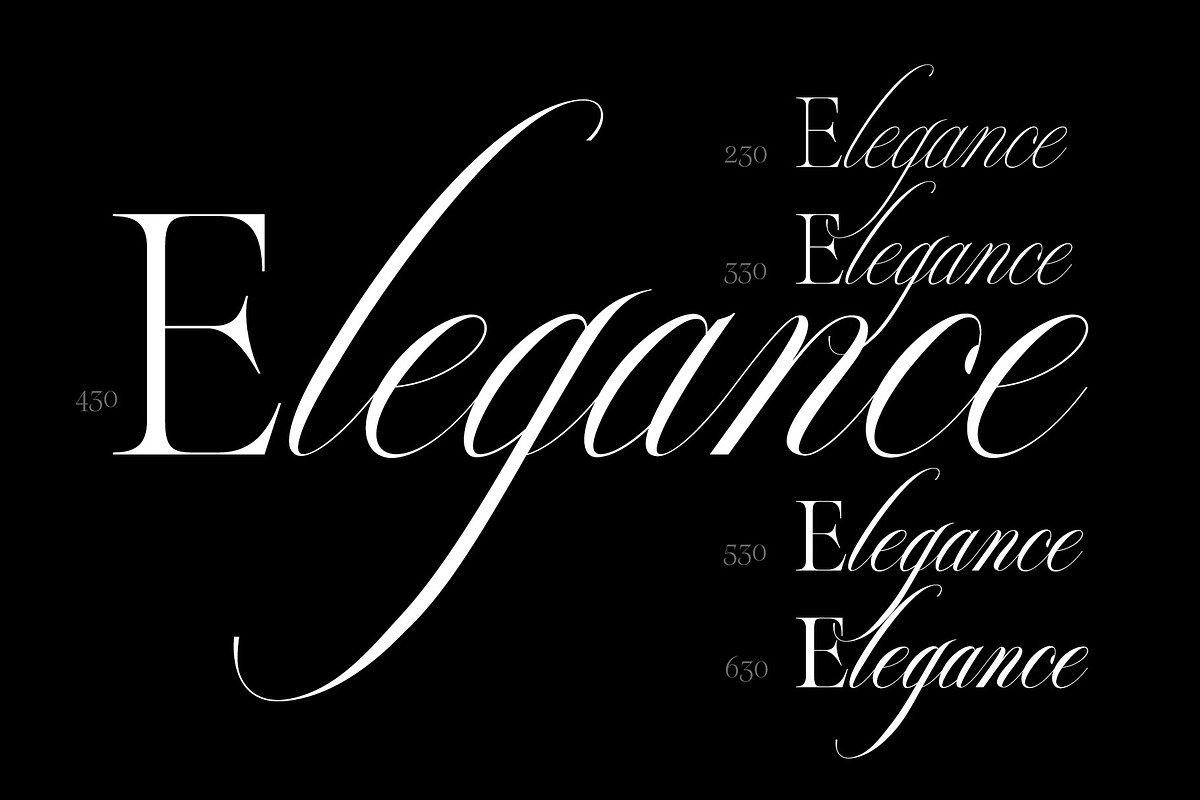 Reichamerina font family, a Serif Font by Ryul Davidson (Photo 6 of 27)