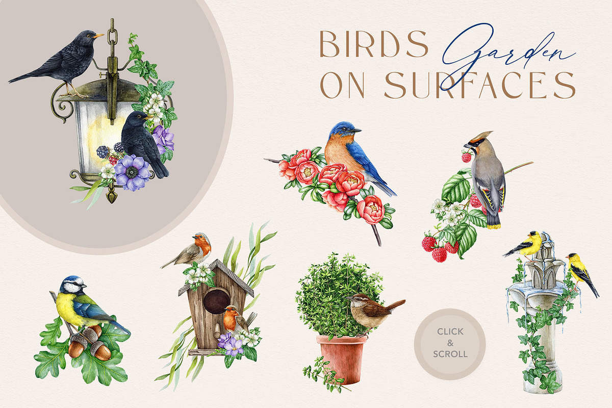 Garden Birds Watercolor Painted Set, an Animal Illustration by AnitaPol (Photo 4 of 21)