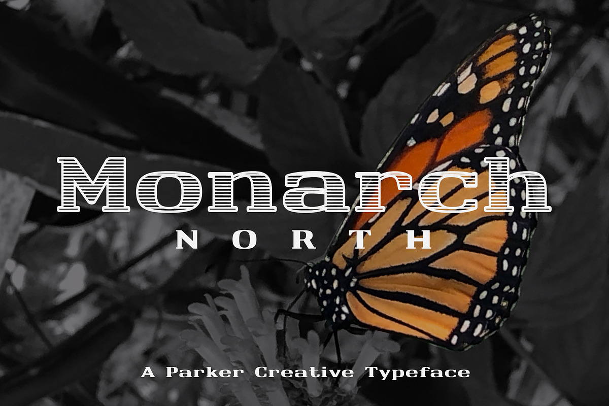 Monarch North Line Serif Font