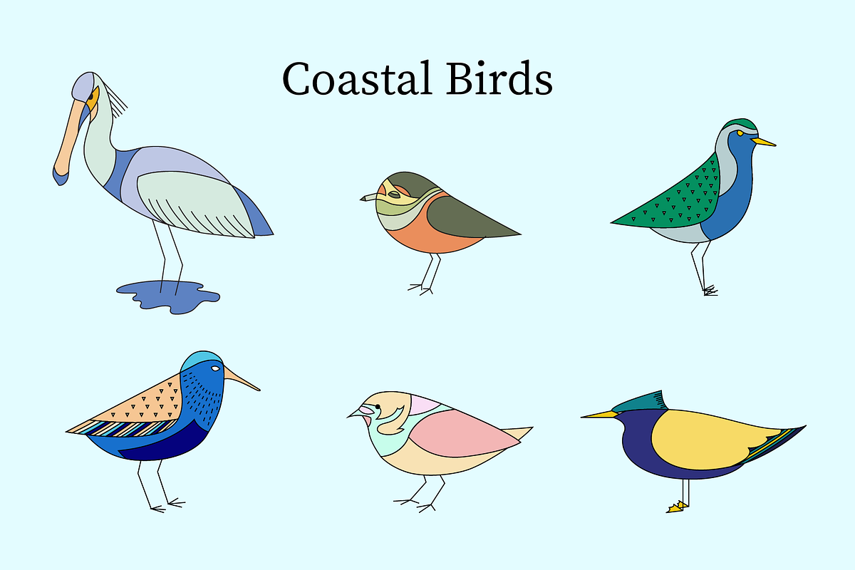 European Coastal Birds, an Illustration by Goodputty (Photo 1 of 4)