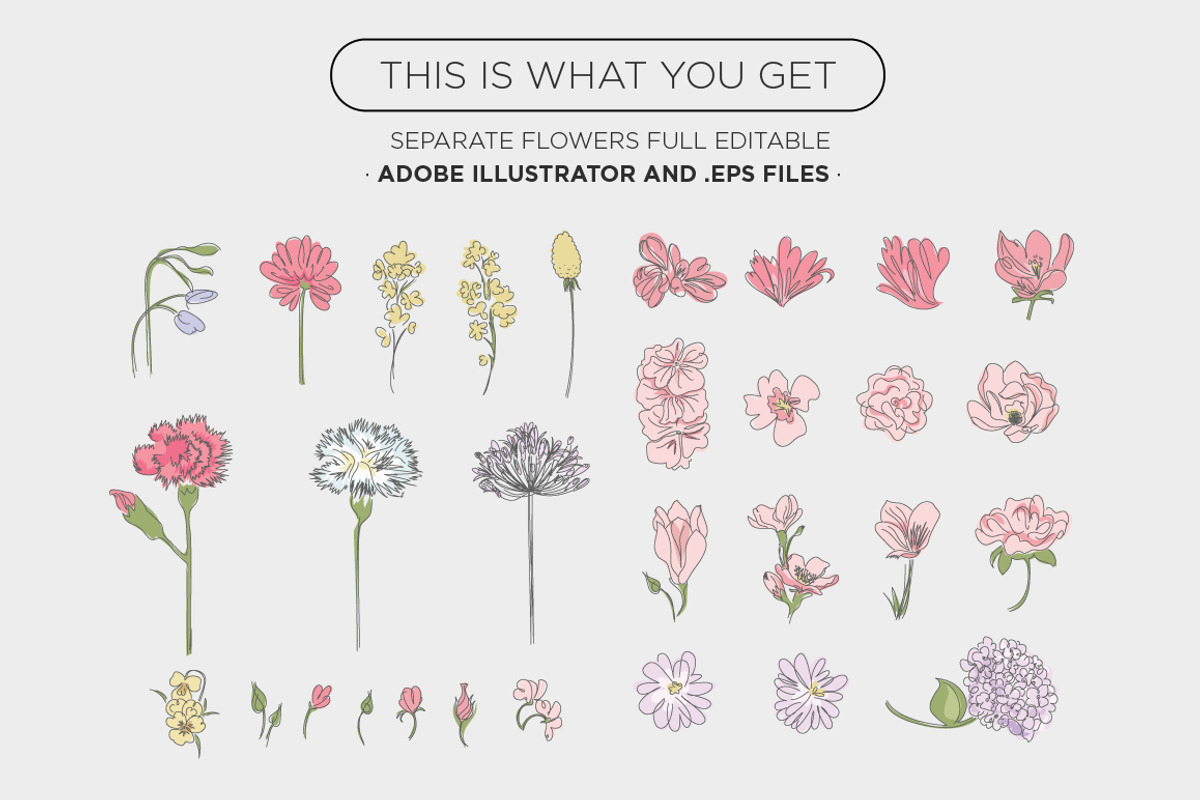 Floral Vectors, an Illustration by tomodachi studio (Photo 3 of 5)