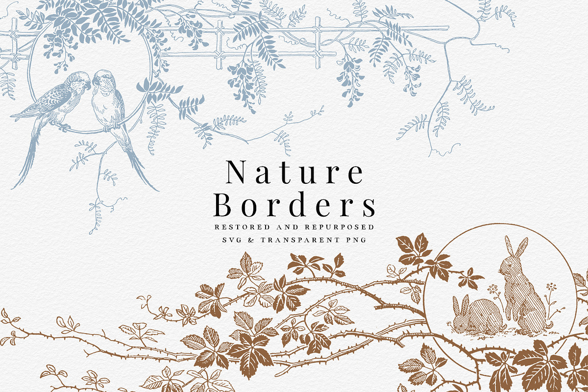 Vintage Nature Borders, a Decorative Illustration by AW Studios