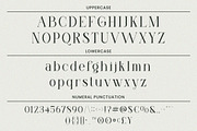 Klandestin - Elegant Serif Typeface, a Serif Font by Dryy.type (Thumbnail 10 of 11)