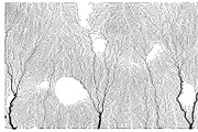 Growth - 50 Backgrounds, a Texture Graphic by GarryKillian (Thumbnail 26 of 51)