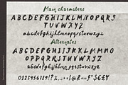 Handwritten ink script font Espresso, a Script Font by TD fonts (Thumbnail 8 of 12)