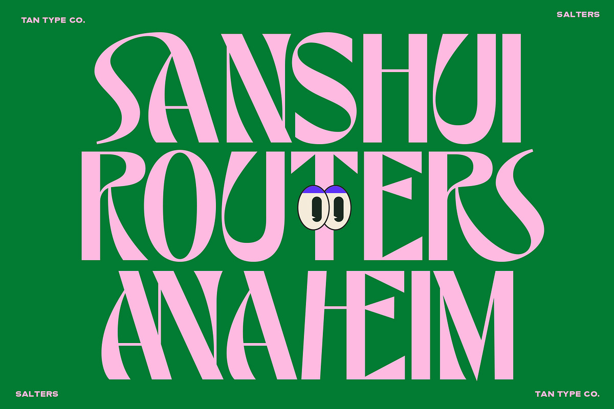 TAN - SALTERS, a Font by TanType (Photo 4 of 14)