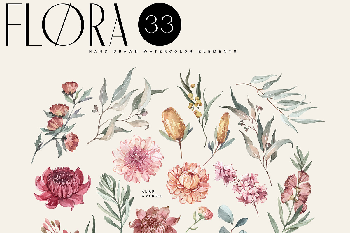 AUSTRALIA Flora & Fauna collection, an Animal Illustration by Anastezia Luneva (Photo 3 of 10)