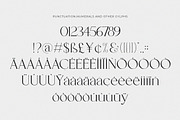 Catalina - Classy Ligature font, a Serif Font by dealitastudio (Thumbnail 11 of 11)