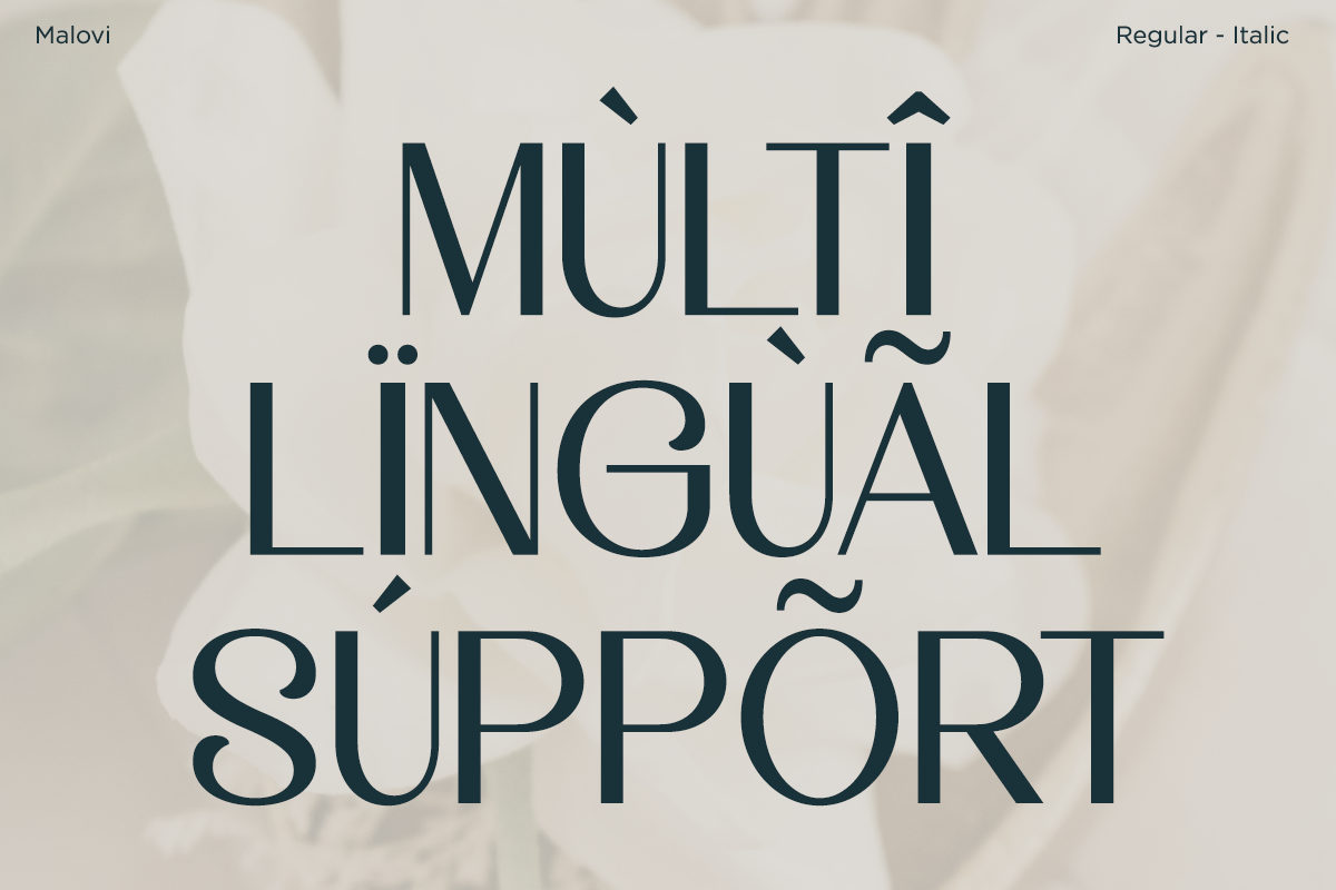 Malovi - Modern Elegant Serif, a Serif Font by Font Liner (Photo 13 of 13)