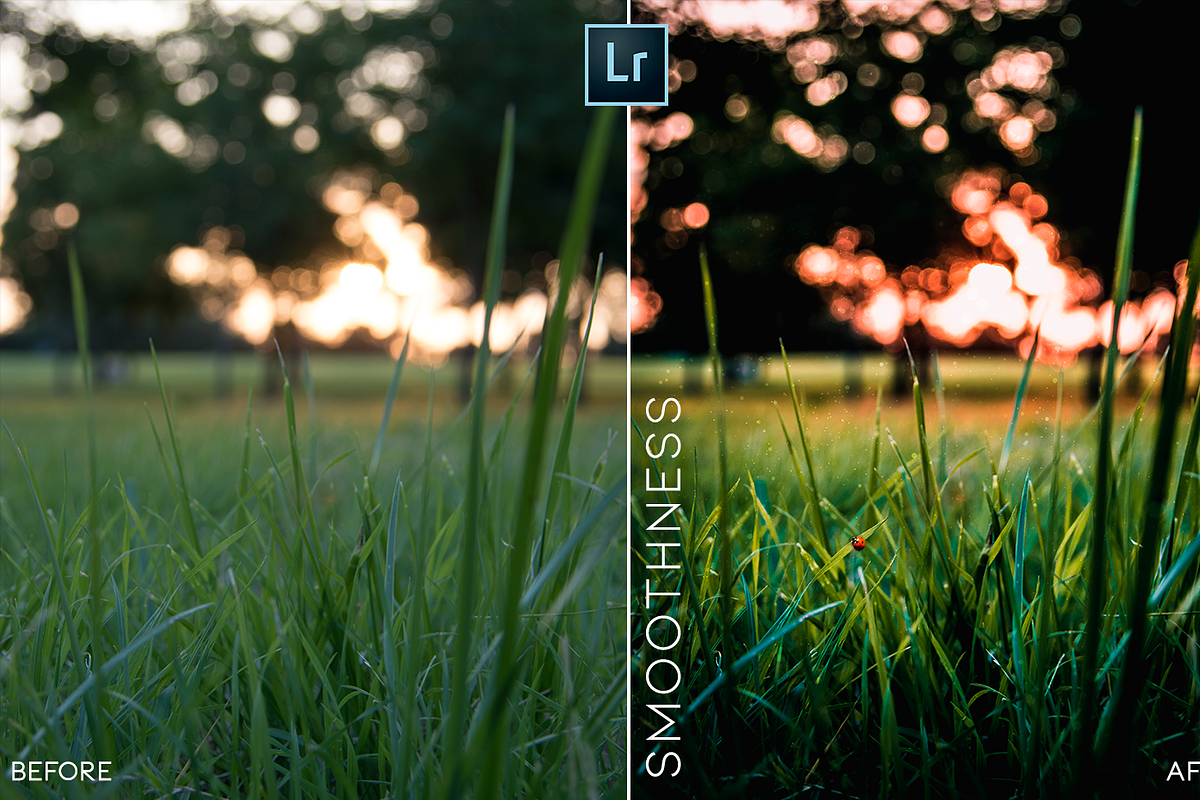 MOBILE + PC Lightroom Presets, a Plug-in Add-On by @guillepixl (Photo 12 of 16)