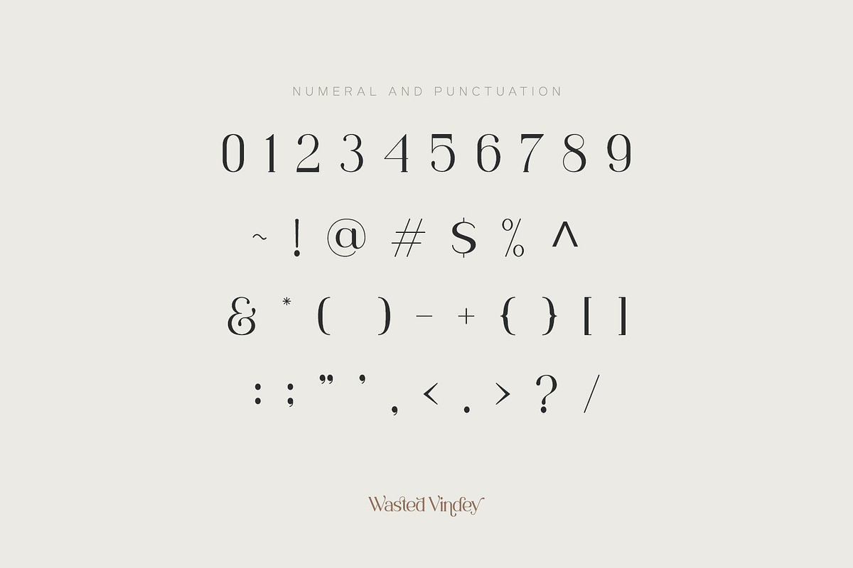 Wasted Vindey - Classy Serif Font, a Serif Font by Koplexs Studio (Photo 13 of 14)