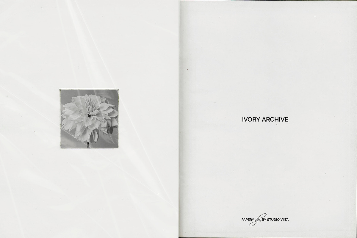 Vintage Scan Borders And Textures⸻3, a Texture Graphic by Studio Viita (Photo 1 of 11)
