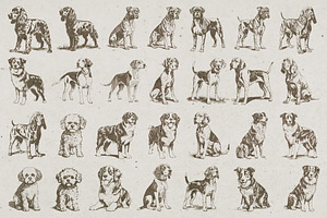 215 Dog Illustrations