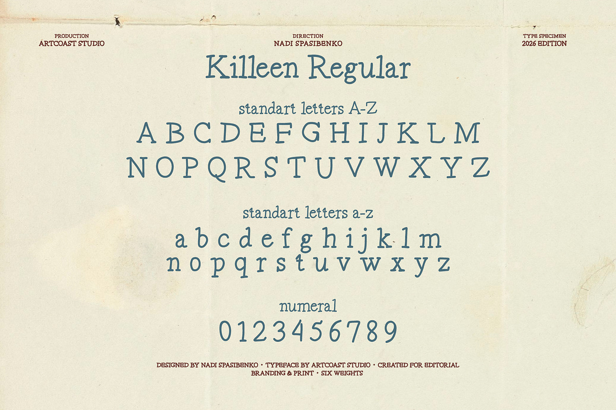 Killeen Font Family, a Serif Font by nadispasibenko (Photo 9 of 12)