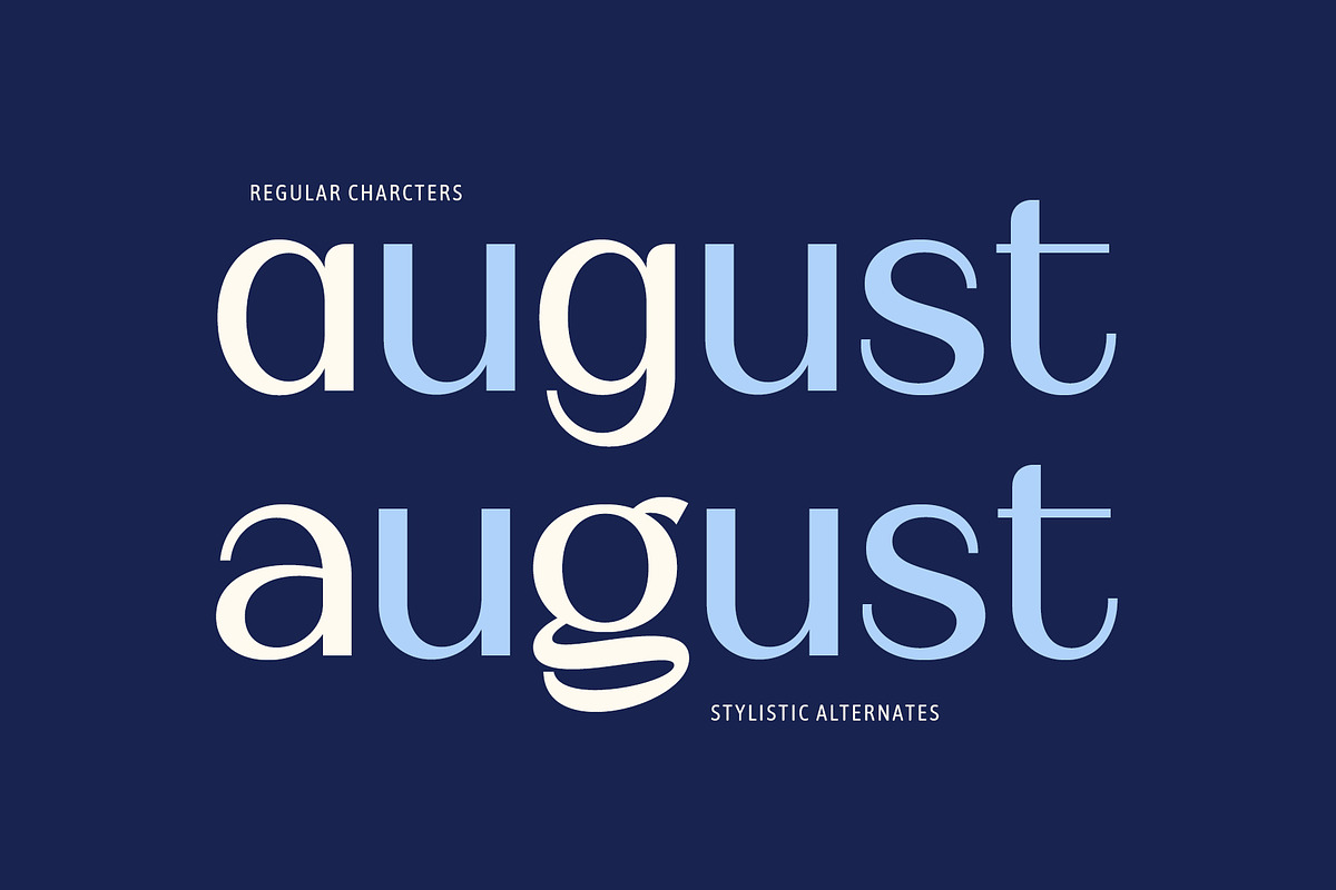 Binaru, a Sans Serif Font by Locomotype (Photo 7 of 10)