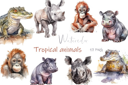 Watercolor baby animals hippopotamus