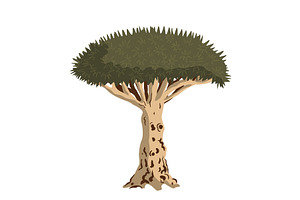Dragon blood tree isolated, an Object Illustration by Toltemara