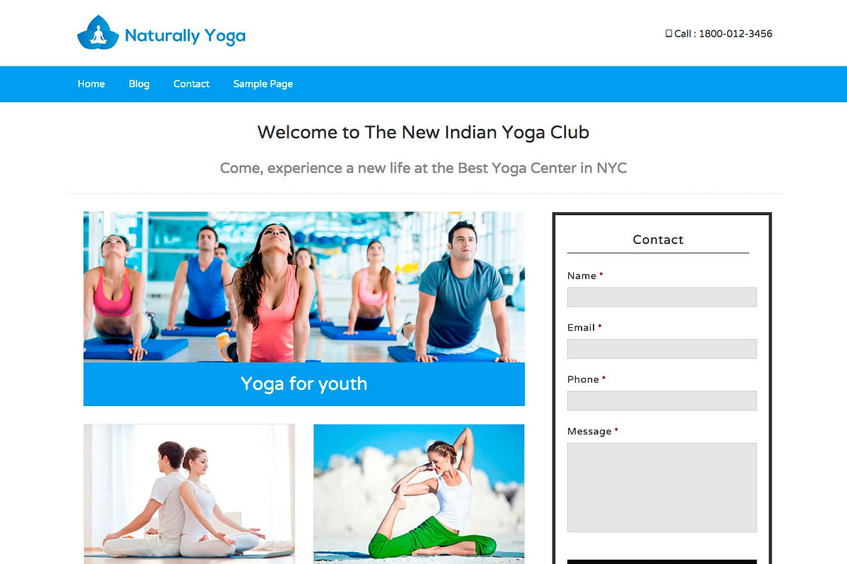 BizPress Local Business Theme, a WordPress Template by IdeaBox Themes (Photo 3 of 5)