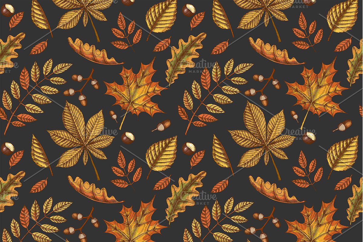 Pumpkins and Leaves Set, an Illustration by Tabiti (Photo 7 of 14)