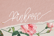 Mandalena | Script Font, a Script Font by Scratchones (Thumbnail 5 of 8)