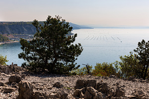 Sistiana Bay from the Rilke Trail, a Nature Photo by Bepslabor