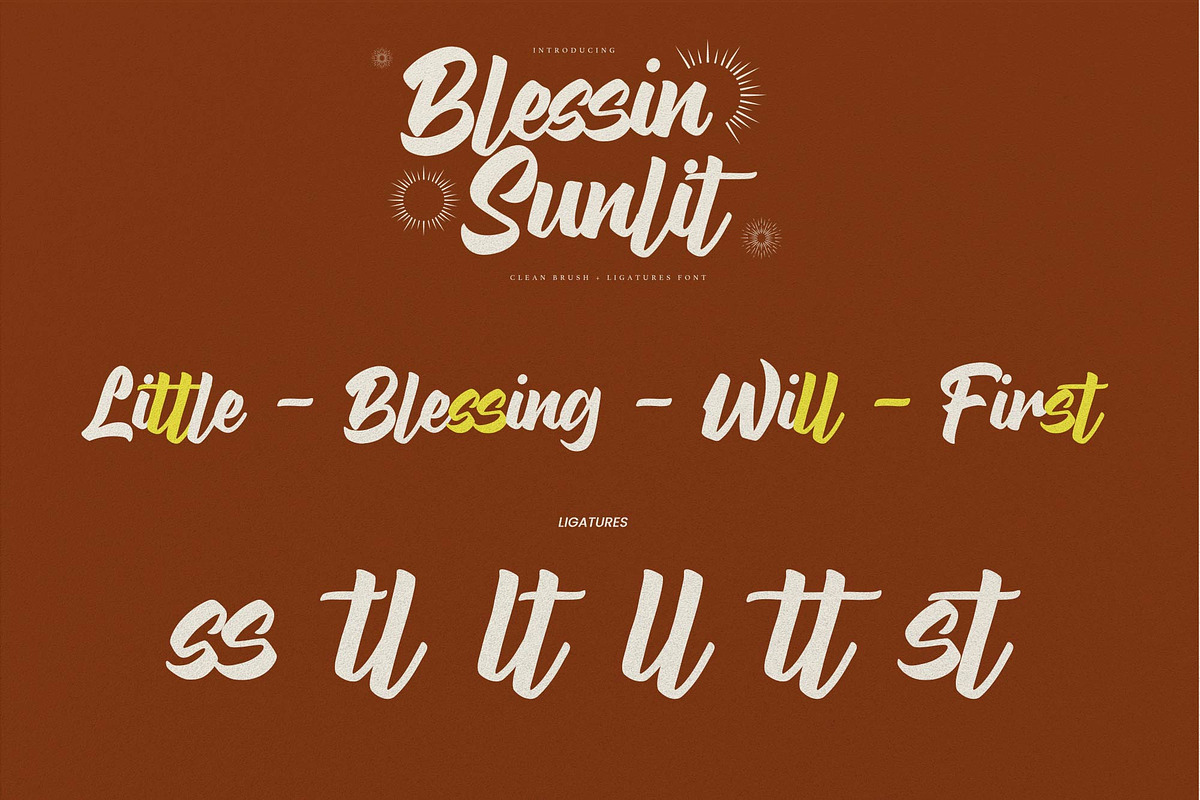 Blessin Sunlit – Clean Brush, a Handwritten Font by Gassstype (Photo 7 of 8)