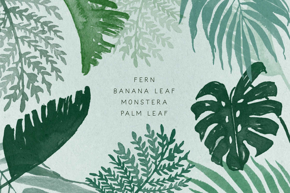 Procreate Watercolor leaves Stamps, a Shape Add-On by BohoCalligraphy (Photo 2 of 3)
